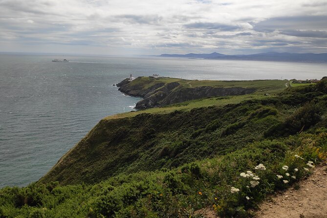 Howth Hiking Trail from Dublin: Mythology and Legend - A forest picnic beside the fairy houses