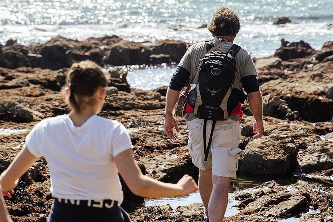Howth Safari Hiking Tour - How difficult is the hike?