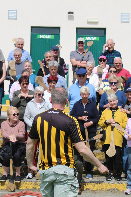 Hurling Experience in Kilkenny City - Key points to know before booking