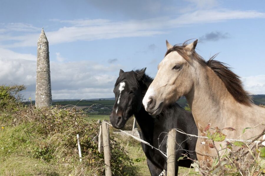 Ireland: Blarney Castle, Kilkenny & Irish Whiskey 3-Day Tour - Should you book the Blarney, Kilkenny, and whiskey tour?