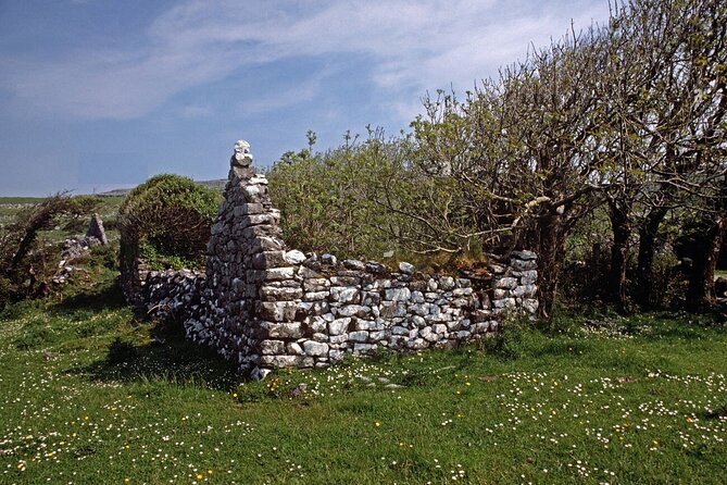 Irish Famine Museum / Exhibition Dublin - Language help and practical comfort