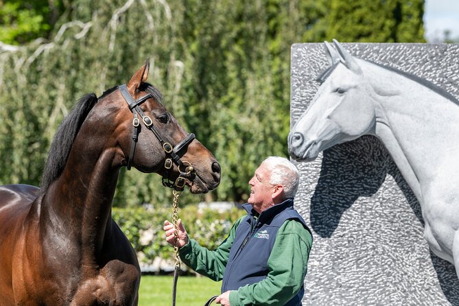 Irish National Stud & Gardens Skip the line Entrance - The Irish Racehorse Experience explains more than a stable tour