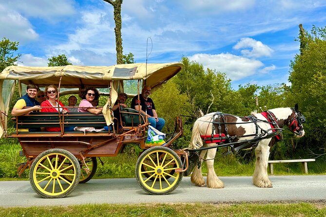 Jaunting Car Tour in Killarney National Park - What the guide adds