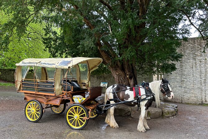 Jaunting Car Tour in Killarney National Park - Is $66.54 good value?
