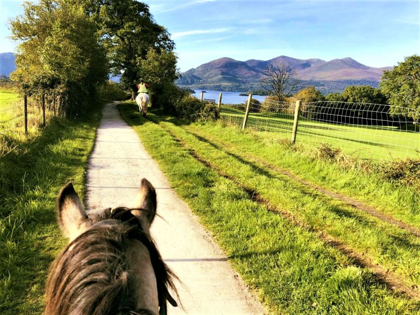 Kerry: Guided Horse Riding Tour in Killarney National Park - Key points to know before you ride