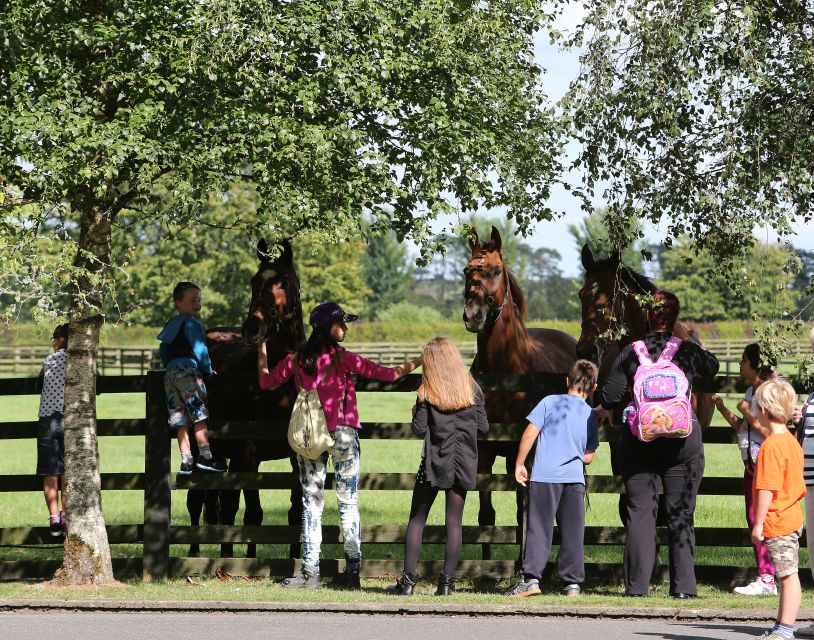 Kildare: Irish National Stud & Gardens - St Fiachra’s Garden and Irish wildlife