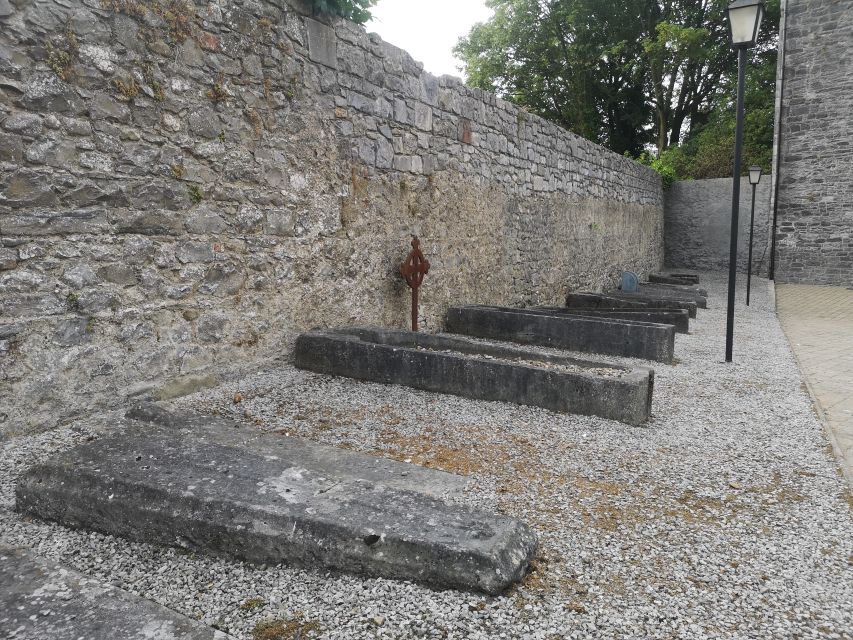 Kilkenny: Historical Highlights Walking Tour - The library and the Great War Memorial