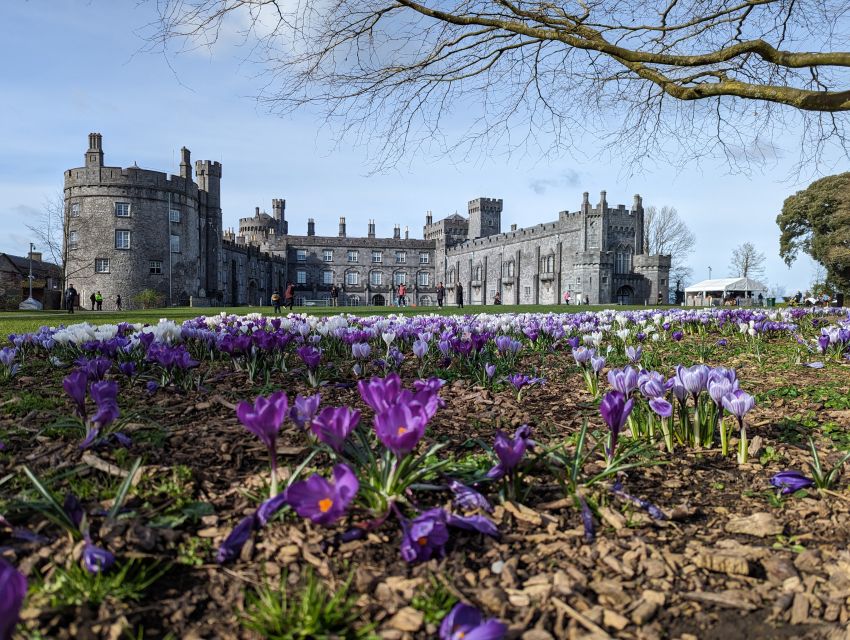Kilkenny: Historical Highlights Walking Tour - The Black Abbey and Kieran Street