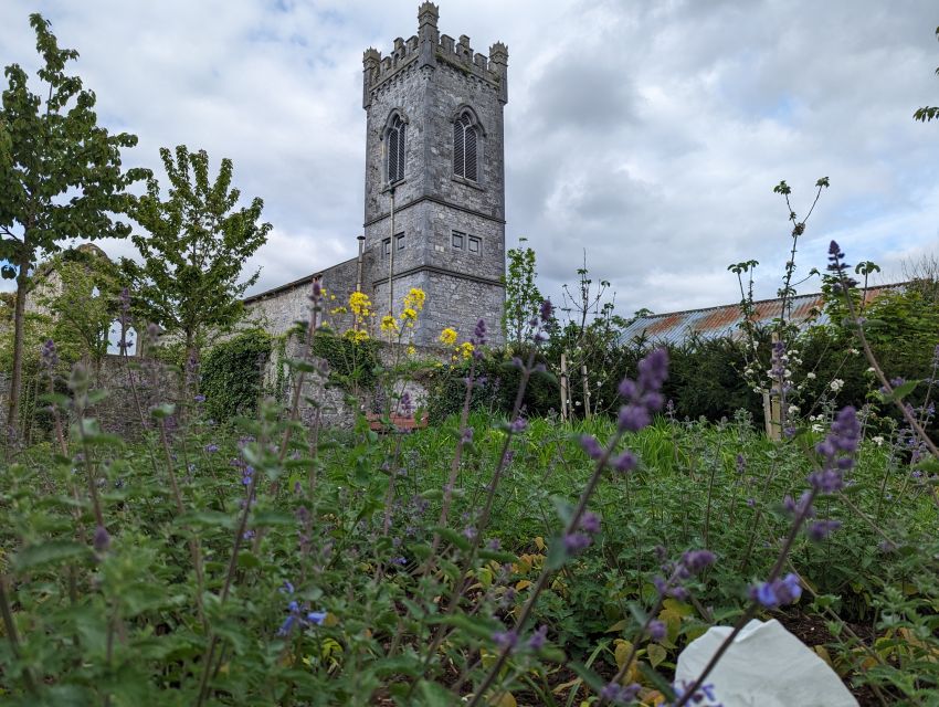 Kilkenny: Historical Highlights Walking Tour - Group size, pace, and comfort