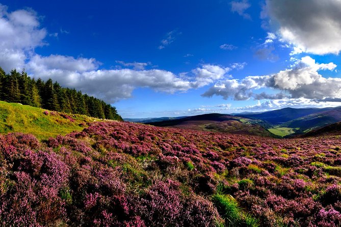 Kilkenny, Wicklow Mountains & Glendalough Day Tour from Dublin - Glendalough and the Valley of the Two Lakes