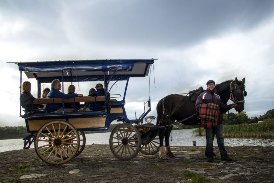 Killarney: 1-Hour Jaunting Car Horse and Carriage Tour - Passing St. Mary’s Cathedral on the way out