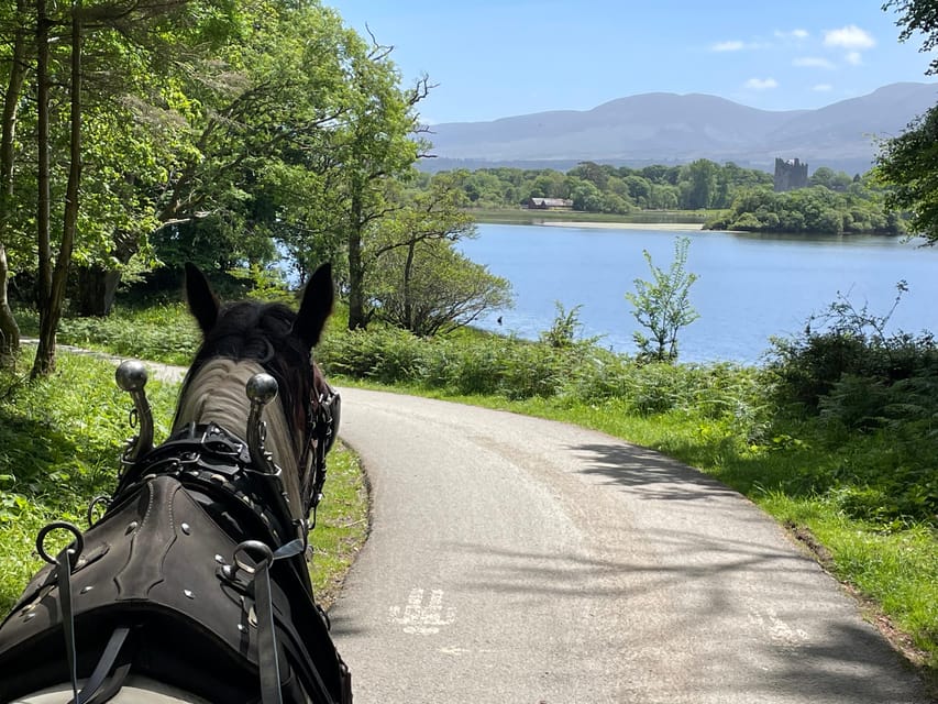 Killarney Carriage Tours National Park and Lakes - Key points to know before you book