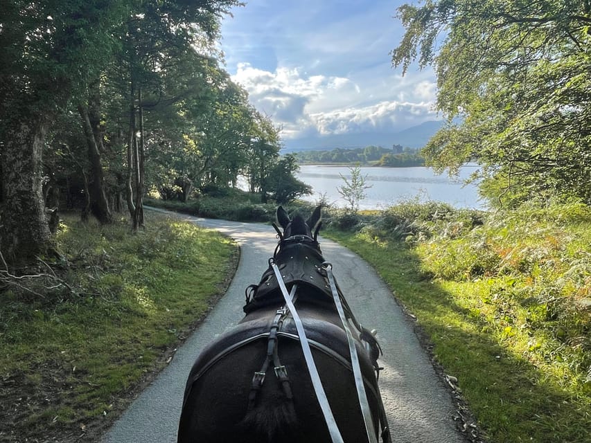 Killarney Carriage Tours National Park and Lakes - Why a Killarney jaunting car makes sense