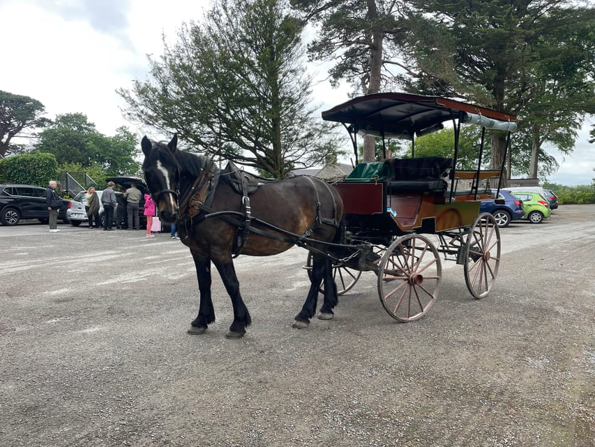Killarney Carriage Tours National Park and Lakes - Passing St Mary’s Cathedral