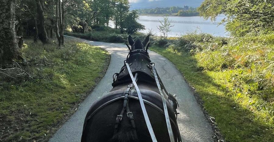 Killarney Carriage Tours National Park and Lakes - Along the Lakes of Killarney