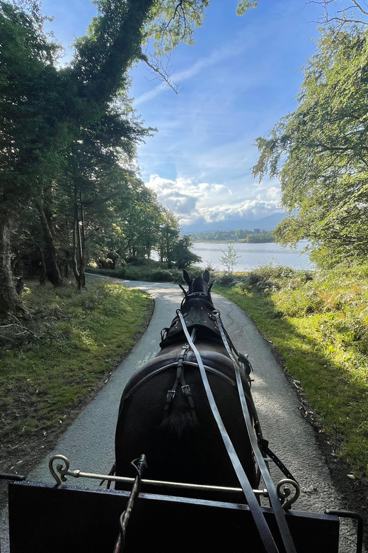Killarney Carriage Tours National Park and Lakes - Who should book this carriage ride?
