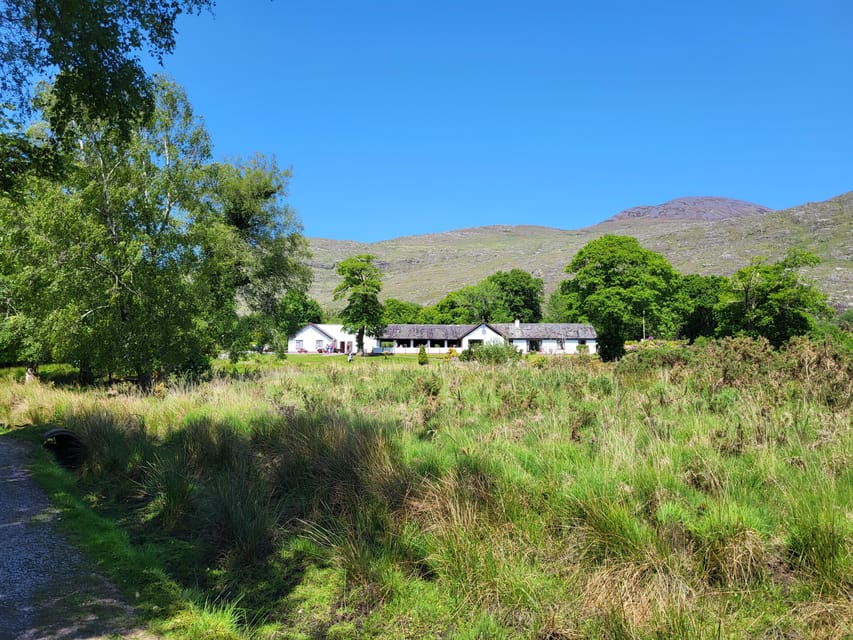 Killarney: Gap of Dunloe Day Tour - Ross Castle and the older Killarney story