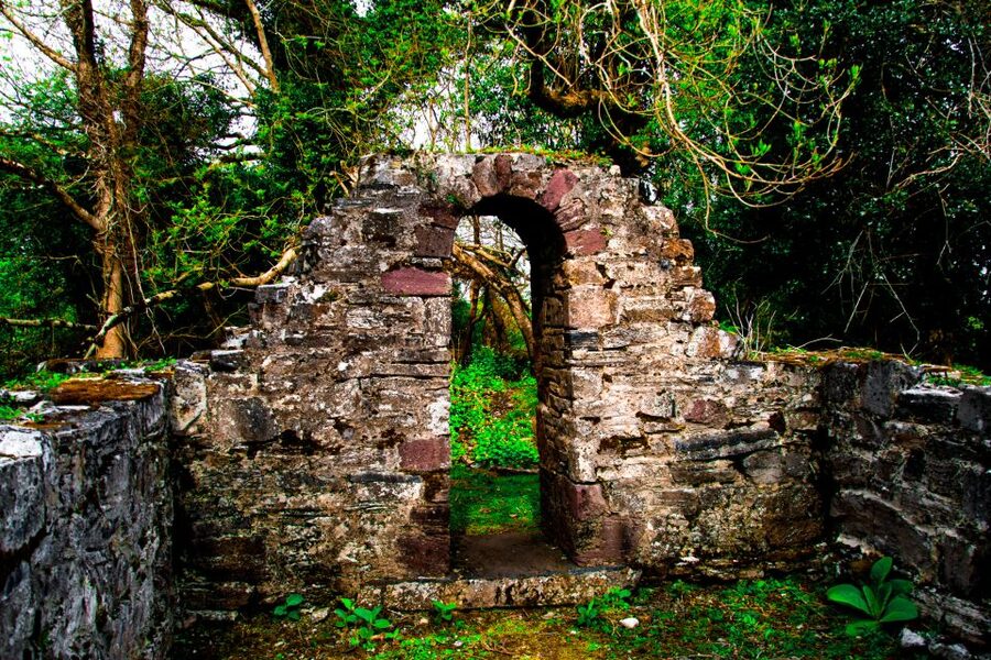 Killarney: Guided Boat Tour to Innisfallen Island - Who will enjoy this island visit most