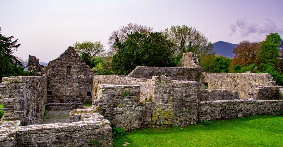 Killarney: Guided Boat Tour to Innisfallen Island - A 10-minute crossing from Ross Castle