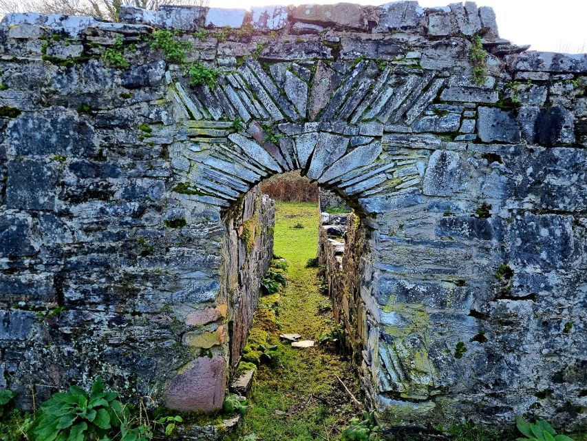 Killarney: Guided Boat Tour to Innisfallen Island - Sika deer, shorelines, and island scenery
