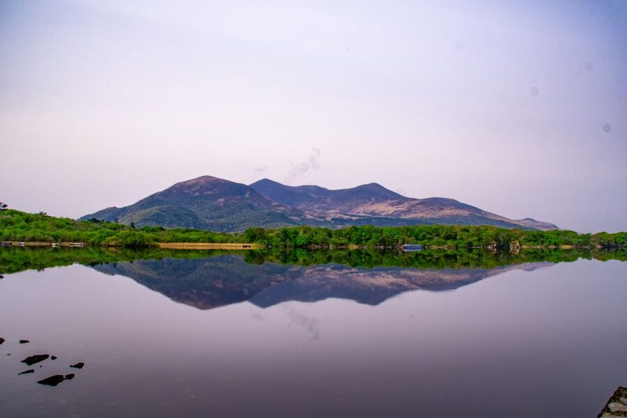 Killarney: Guided Boat Tour to Innisfallen Island - Why the guide makes a difference