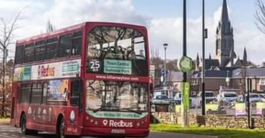 Killarney: Hop-On Hop-Off Bus to Killarney National Park - Why this bus is useful in Killarney National Park