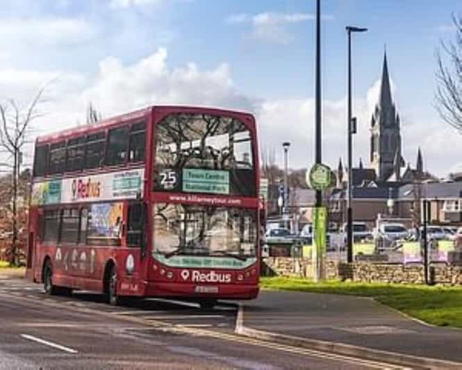 Killarney: Hop-On Hop-Off Bus to Killarney National Park - Ross Castle and the shore of Lough Leane