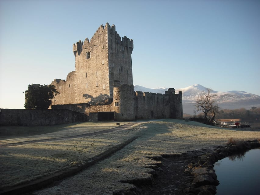 Killarney: Hop-On Hop-Off Bus to Killarney National Park - Torc Waterfall and the forest paths