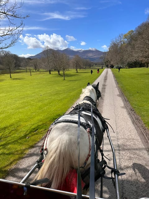 Killarney Jaunting Car Tour - Who will enjoy this Killarney carriage ride?
