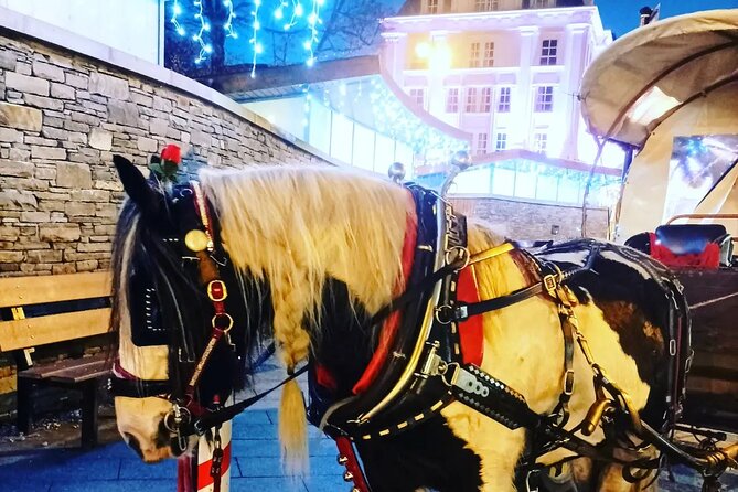 Killarney Jaunting Car Tour - Why the jaunting car works so well in Killarney