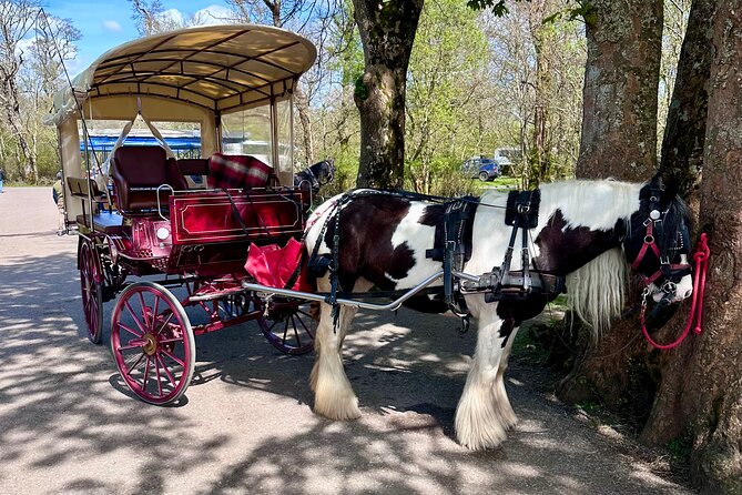 Killarney Jaunting Car Tour - The first minutes: settling into a covered carriage