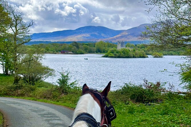 Killarney Jaunting Car Tour - Killarney National Park: the main 50-minute ride