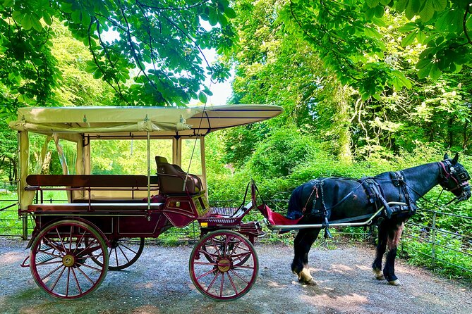Killarney Jaunting Car Tour - The Lakes of Killarney from a slower viewpoint