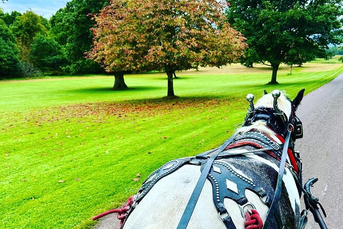 Killarney Jaunting Car Tour - Innisfallen Island, Carrauntoohil, and Killarney House