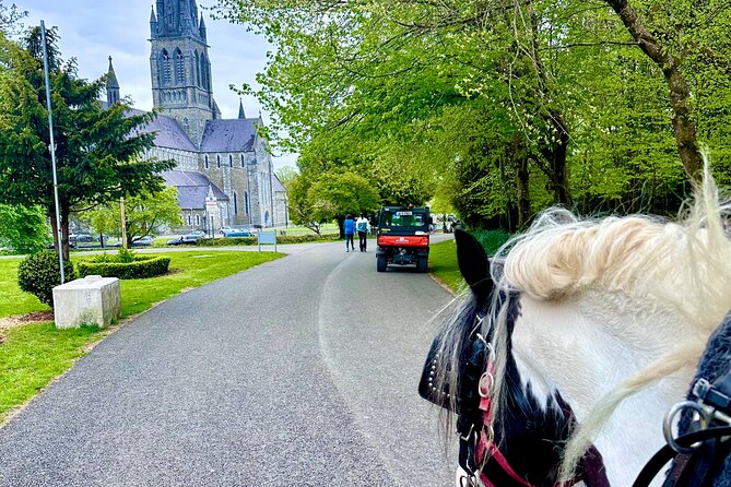 Killarney Jaunting Car Tour - What the guide adds to the ride