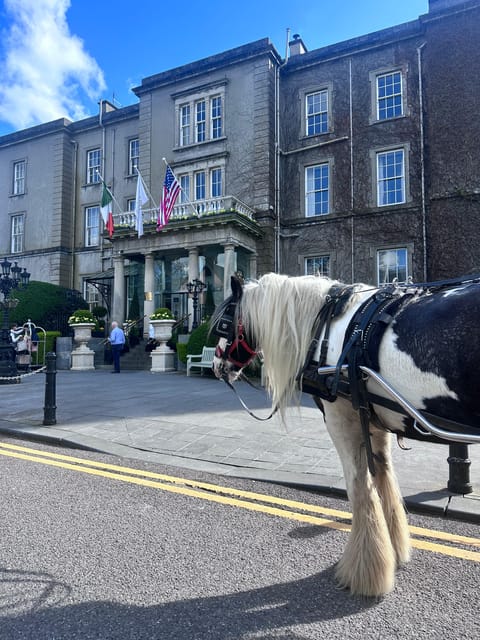 Killarney Jaunting Car Tour - Is $51 good value for one hour?