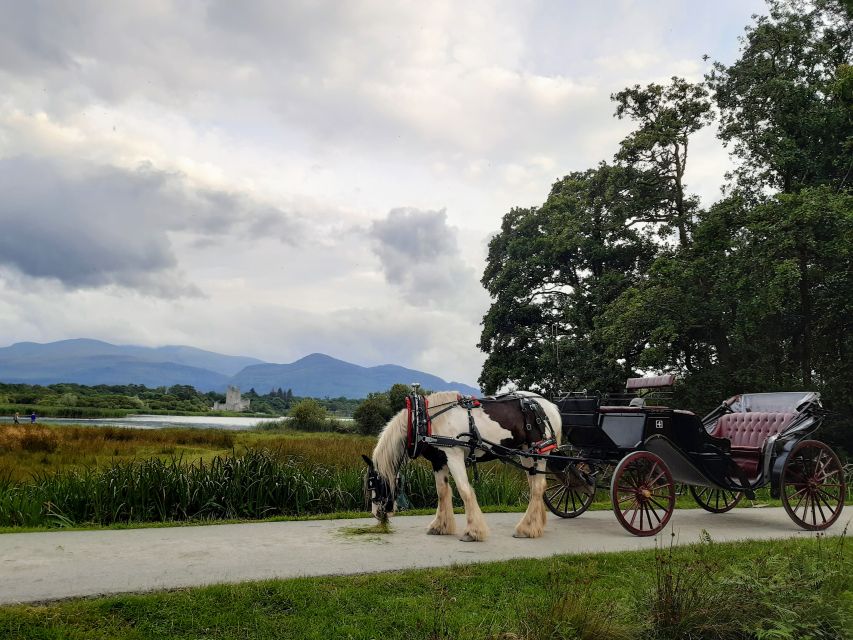 Killarney: Killarney National Park Private Tour - Why a Killarney jaunting car works so well