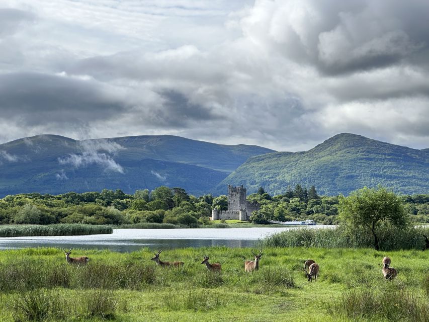Killarney: Killarney National Park Private Tour - Rolling through Killarney National Park