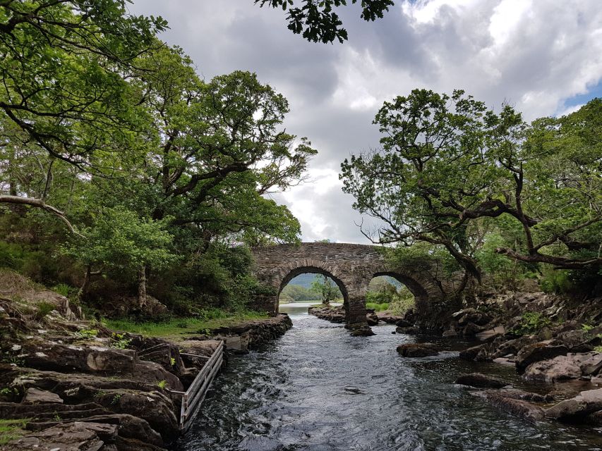 Killarney: Lakes of Killarney Boat Tour with Transfer - Two classic Killarney sights in one half-day