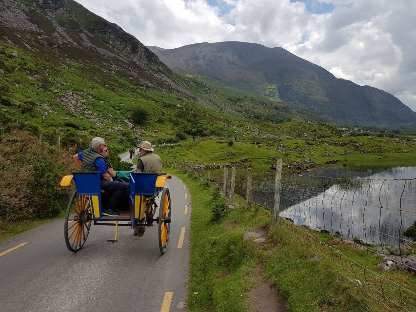 Killarney: Lakes of Killarney Boat Tour with Transfer - Why the changing order can improve the day