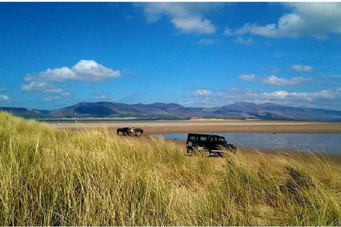 Killarney National Park Horseback Ride. Co Kerry. Guided. 1 hour. - Red deer and the park’s natural setting