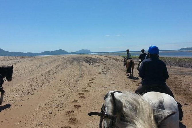 Killarney National Park Horseback Ride. Co Kerry. Guided. 2 hours. - Equipment, group size, and personal attention