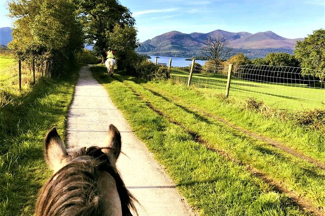 Killarney National Park Horseback Ride. Co Kerry. Guided. 3 hours. - What beginners and experienced riders can expect