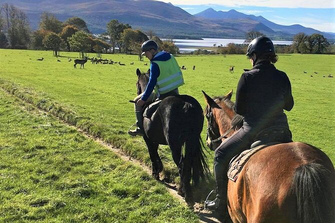 Killarney National Park Horseback Ride. Co Kerry. Guided. 3 hours. - Lough Lein and the park’s best scenery