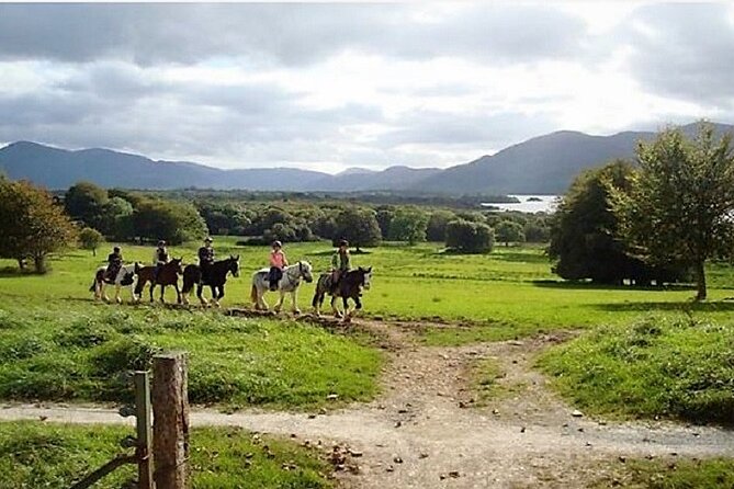 Killarney National Park Horseback Ride. Co Kerry. Guided. 3 hours. - Guides who shape the day