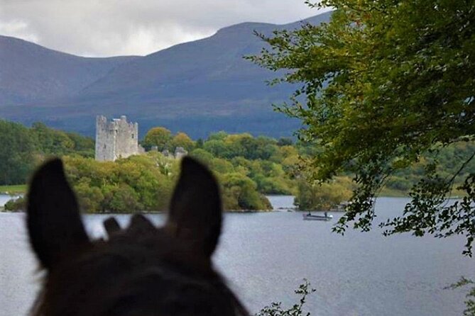 Killarney National Park Horseback Ride. Co Kerry. Guided. 3 hours. - Is three hours a good value at $282.97?