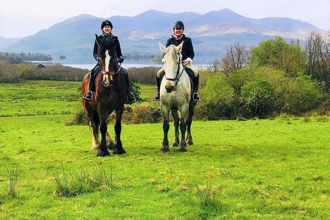 Killarney National Park Horseback Ride. Co Kerry. Guided. 3 hours. - Who will enjoy this ride most
