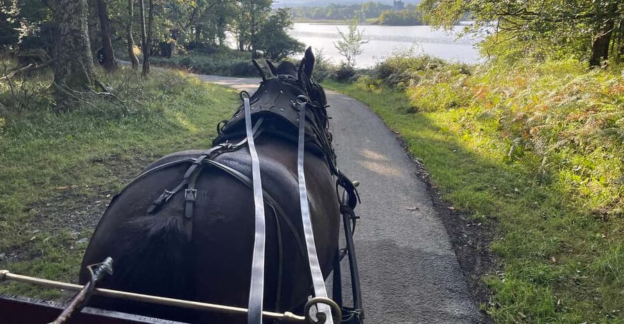 Killarney National Park Jaunting Car Tour - Key points at a glance