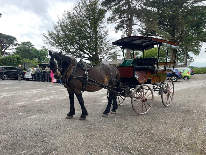 Killarney National Park Jaunting Car Tour - Following Lough Leane, the lake of learning