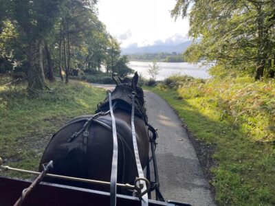 Killarney National Park Jaunting Car Tour